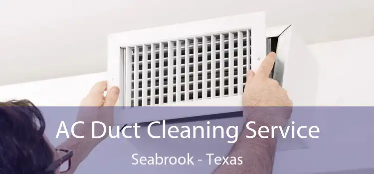 AC Duct Cleaning Service Seabrook - Texas