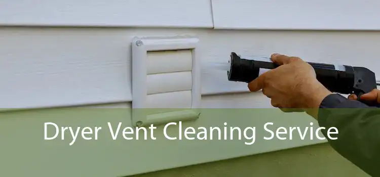 Dryer Vent Cleaning Service 