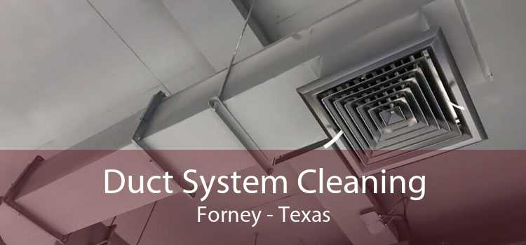 Duct System Cleaning Forney - Texas