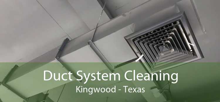 Duct System Cleaning Kingwood - Texas