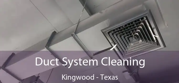 Duct System Cleaning Kingwood - Texas