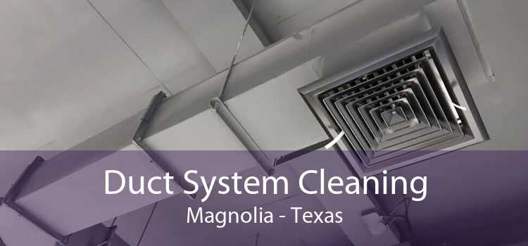 Duct System Cleaning Magnolia - Texas
