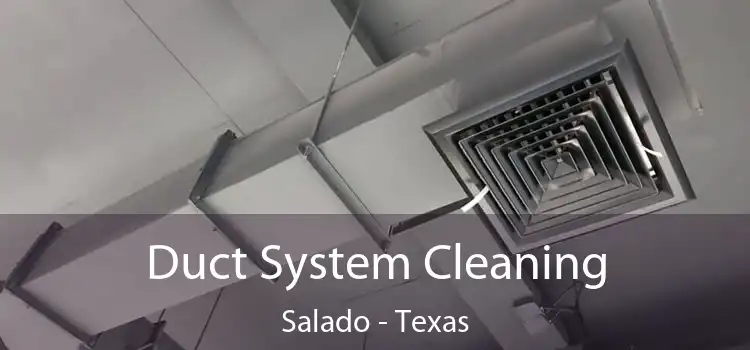 Duct System Cleaning Salado - Texas
