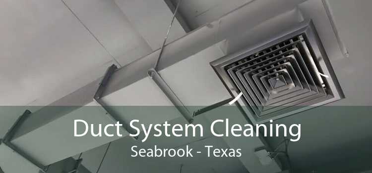 Duct System Cleaning Seabrook - Texas