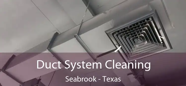 Duct System Cleaning Seabrook - Texas