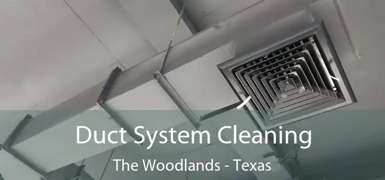 Duct System Cleaning The Woodlands - Texas