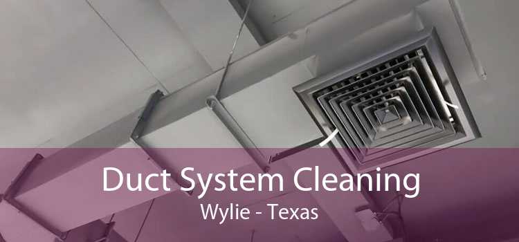 Duct System Cleaning Wylie - Texas