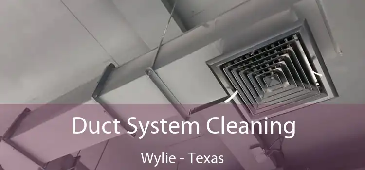 Duct System Cleaning Wylie - Texas