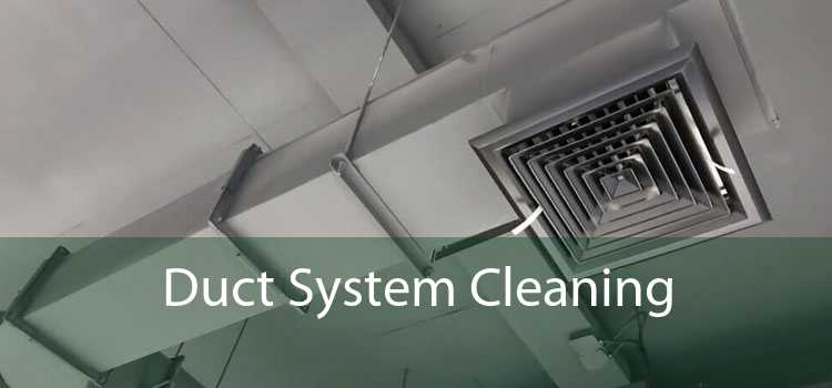 Duct System Cleaning 