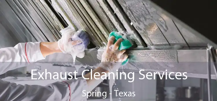 Exhaust Cleaning Services Spring - Texas