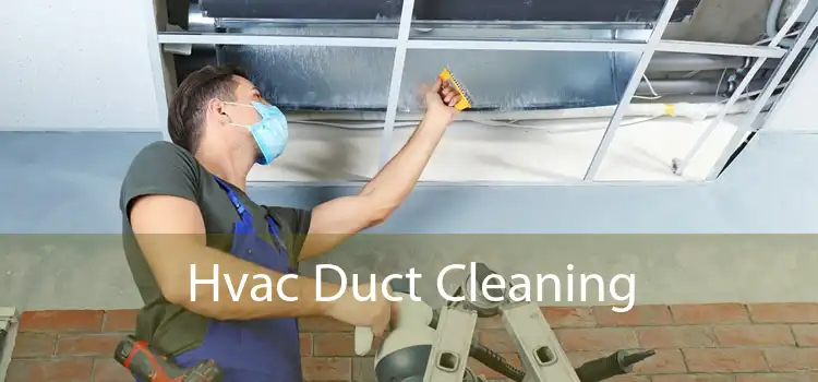 Hvac Duct Cleaning 